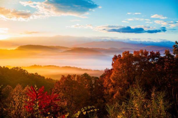 Dog Friendly, Romantic Mtn Getaway Hot Tub Pool Gatlinburg Eksteriør bilde