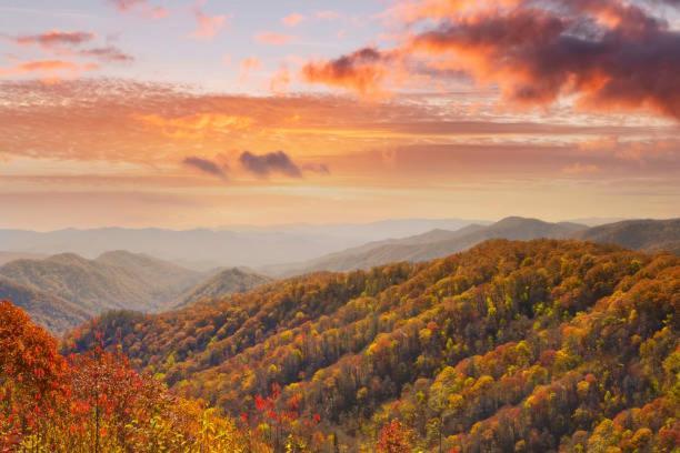Dog Friendly, Romantic Mtn Getaway Hot Tub Pool Gatlinburg Eksteriør bilde